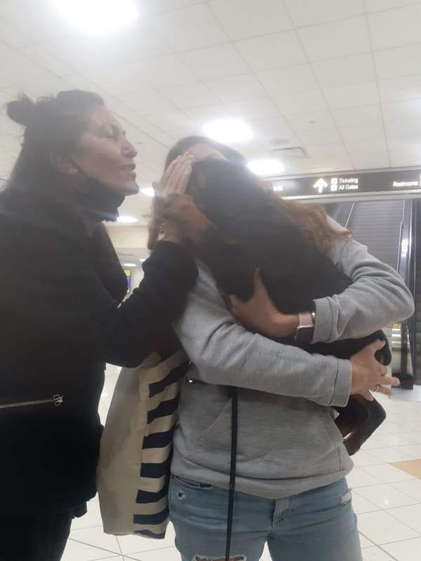 Customer photo of Rottweiler puppy from Mika K.