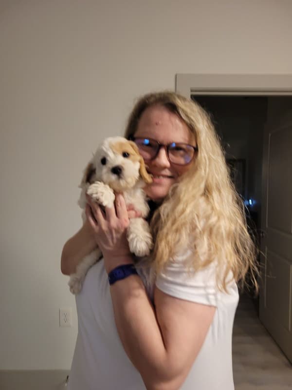 Customer photo of Cavapoo puppy from Jamie J.