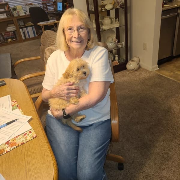 Customer photo of Shih-Poo - Shihpoo puppy from Diana B. 