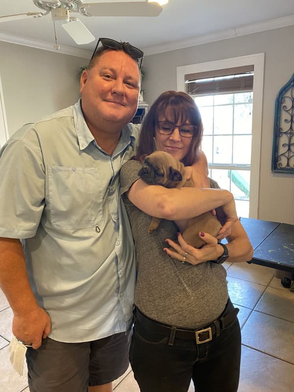 Customer photo of French Bulldog puppy from Mark H.