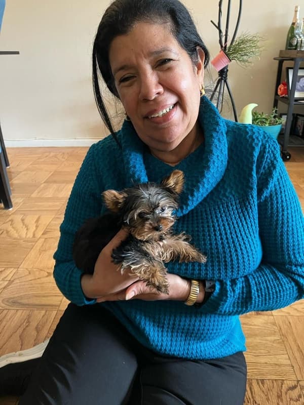 Customer photo of Yorkshire Terrier - Yorkie puppy from Maria M.