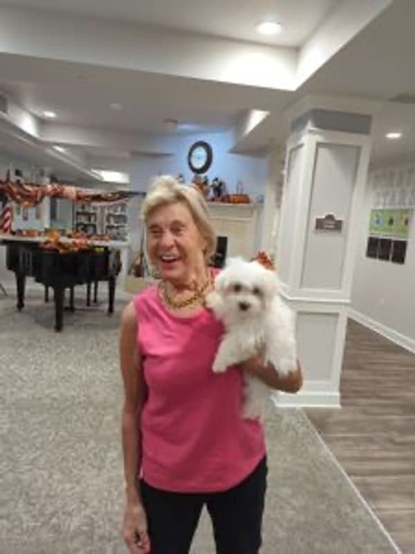 Customer photo of Maltese puppy from Holly B.