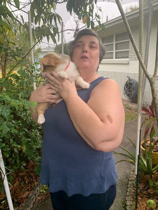 Customer photo of Corgi, Pembroke Welsh puppy from Nancy G.