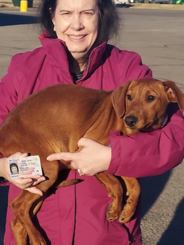 Customer photo of German Pinscher puppy from Melinda O.