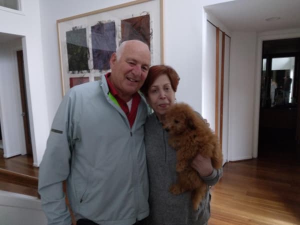 Customer photo of Goldendoodle, Mini puppy from Myra P.