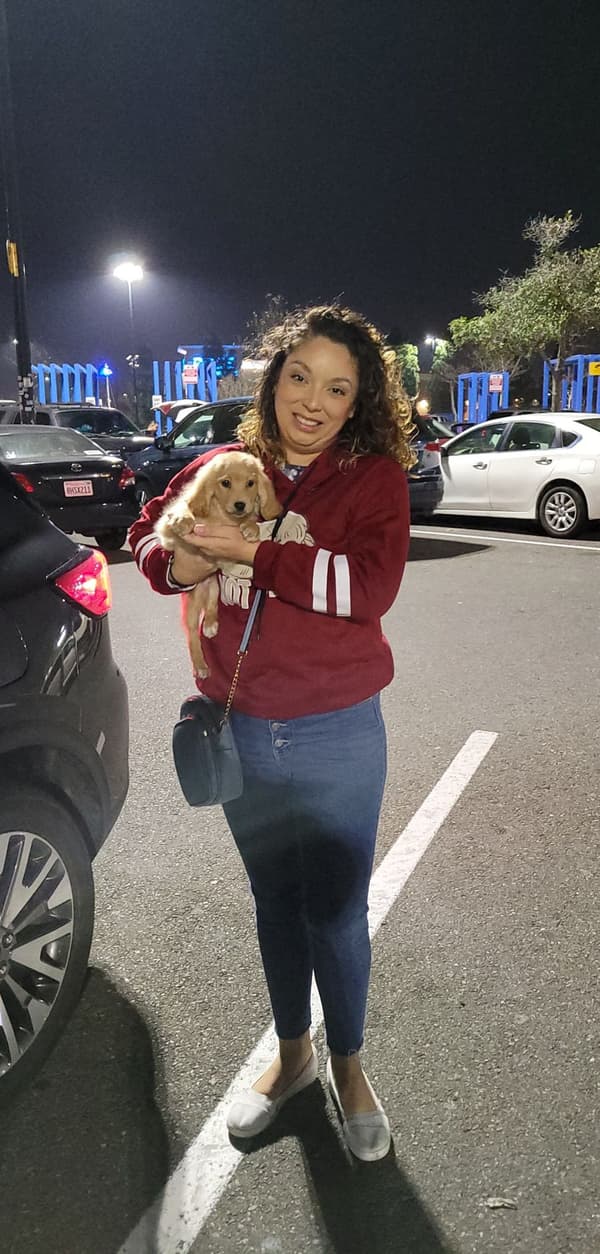 Customer photo of Cavapoo puppy from Monique M.