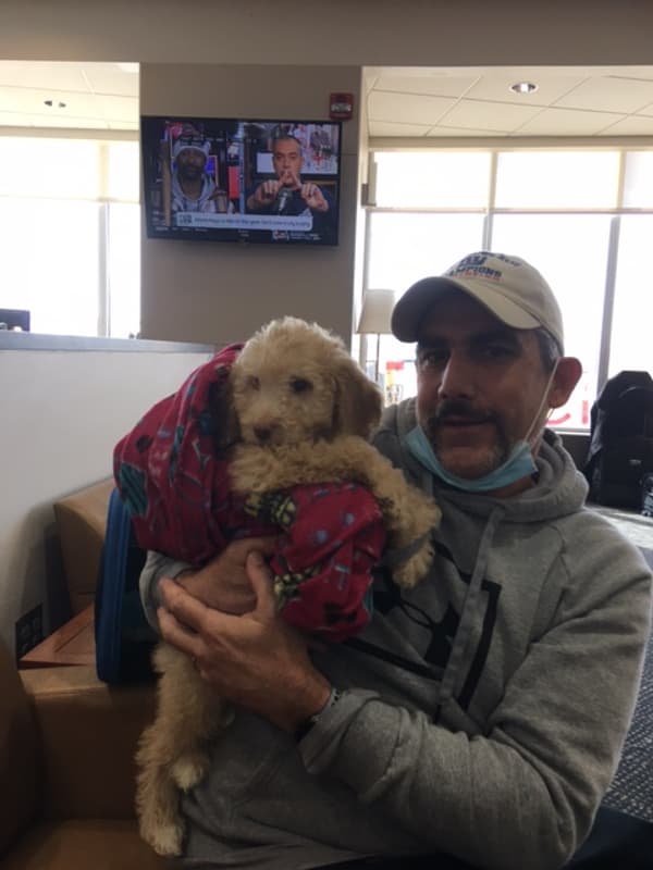 Customer photo of Goldendoodle puppy from Evan K.