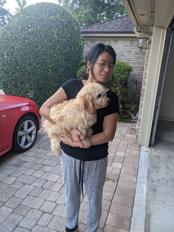 Customer photo of Goldendoodle, Mini puppy from Emerald A.