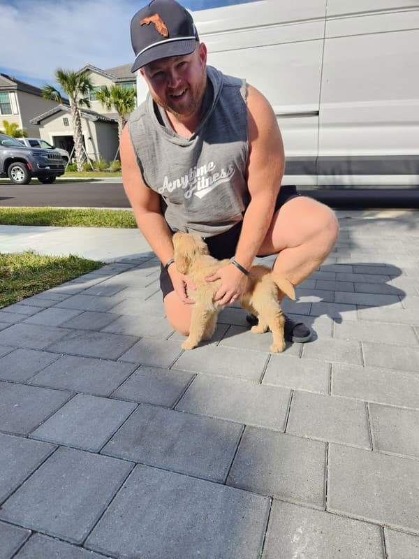 Customer photo of Golden Retriever puppy from Jered J.