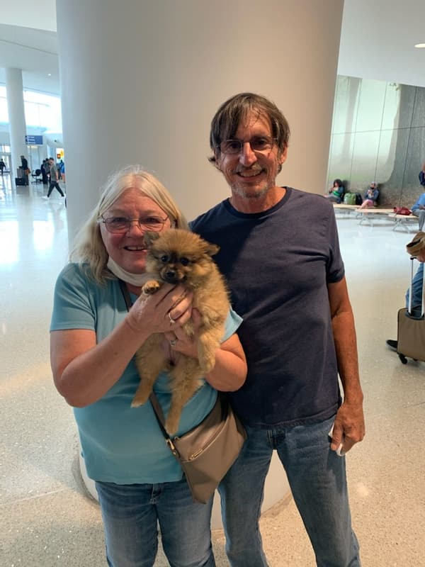 Customer photo of Pomeranian puppy from Robert B.