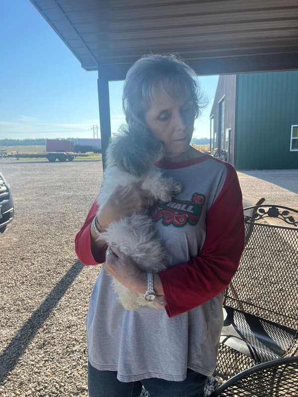 Customer photo of Poodle, Toy puppy from Janie S.