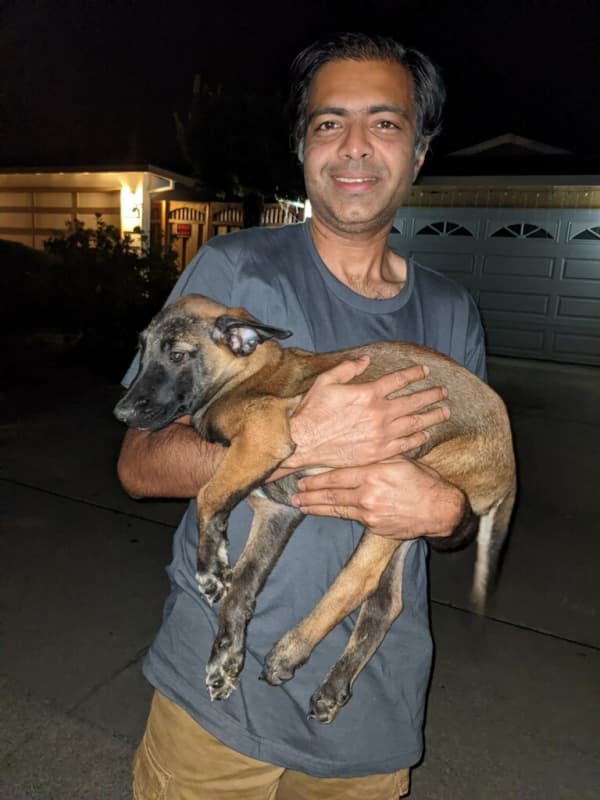 Customer photo of Belgian Malinois puppy from Sandeep C.