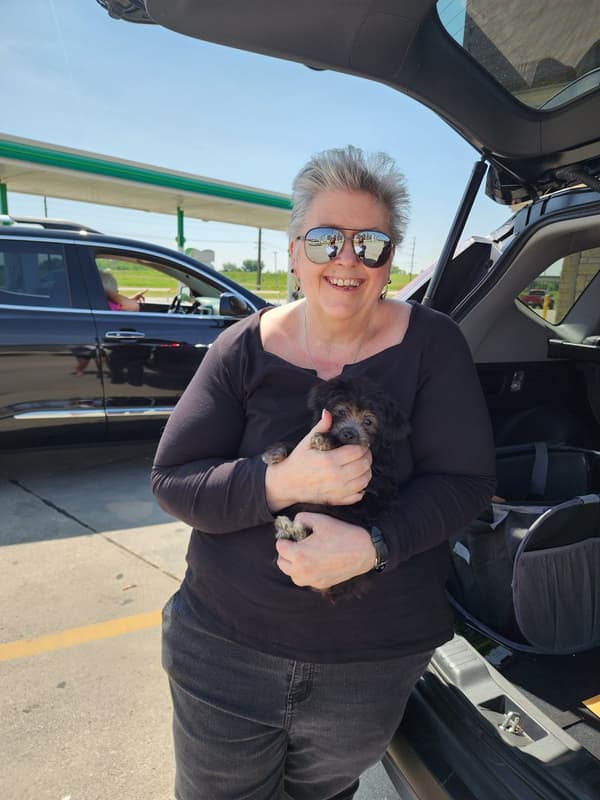 Customer photo of Havanese puppy from Jill T.