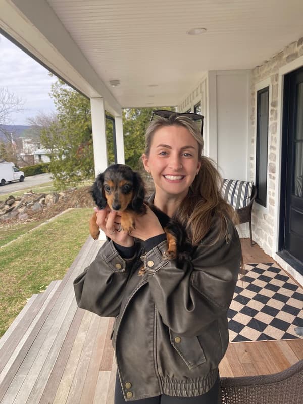 Customer photo of Dachshund, Mini puppy from William M.