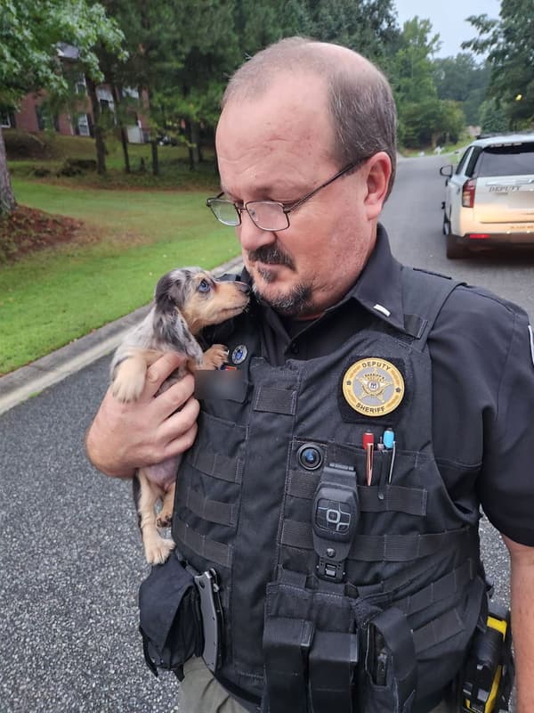 Customer photo of Dachshund, Mini puppy from Matthew P.