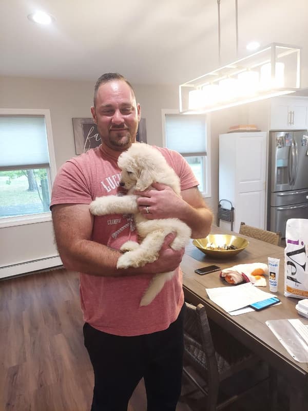 Customer photo of Goldendoodle puppy from Joe C.