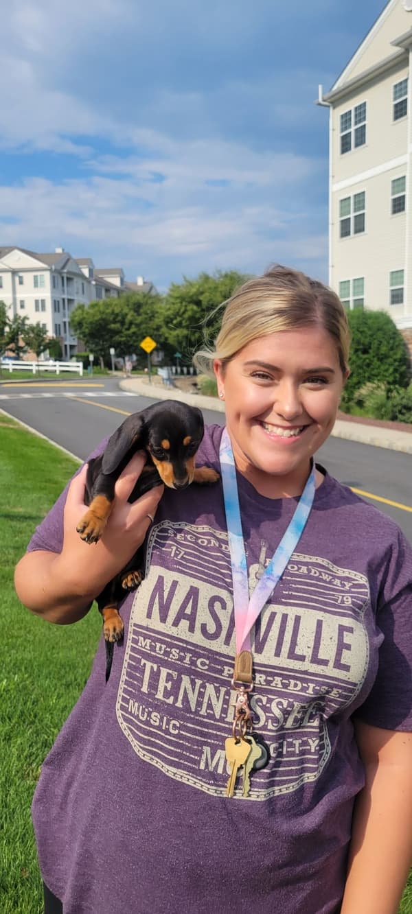 Customer photo of Dachshund, Mini puppy from Sarah R.