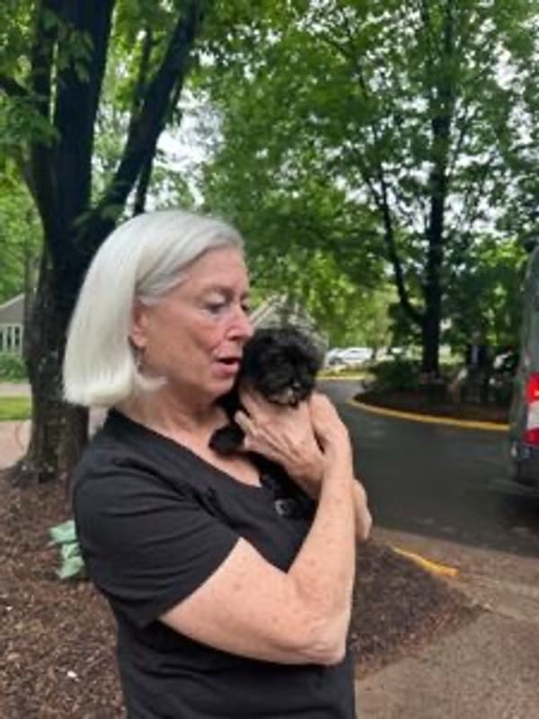 Customer photo of Yorkiepoo - Yorkie Poo puppy from Priscilla M.