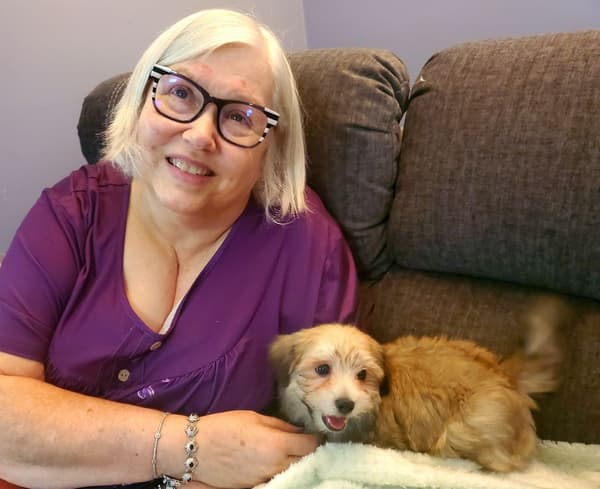 Customer photo of Havanese puppy from Debi C.