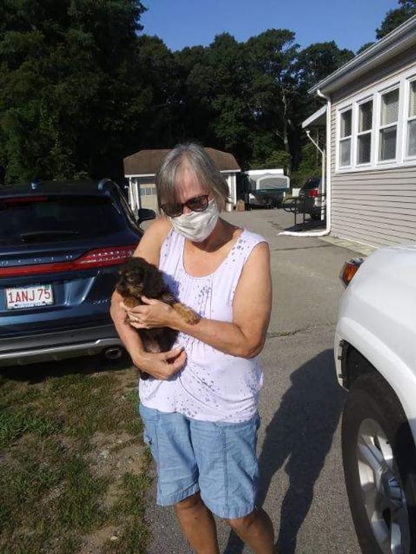 Customer photo of Cavapoo puppy from Mary W.