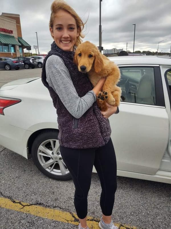 Customer photo of Golden Retriever puppy from Rachel O.