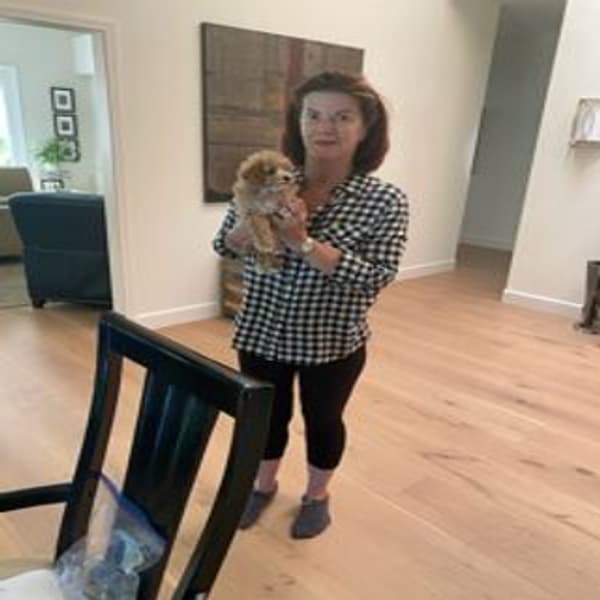 Customer photo of Malti Poo - Maltipoo puppy from Colleen C.