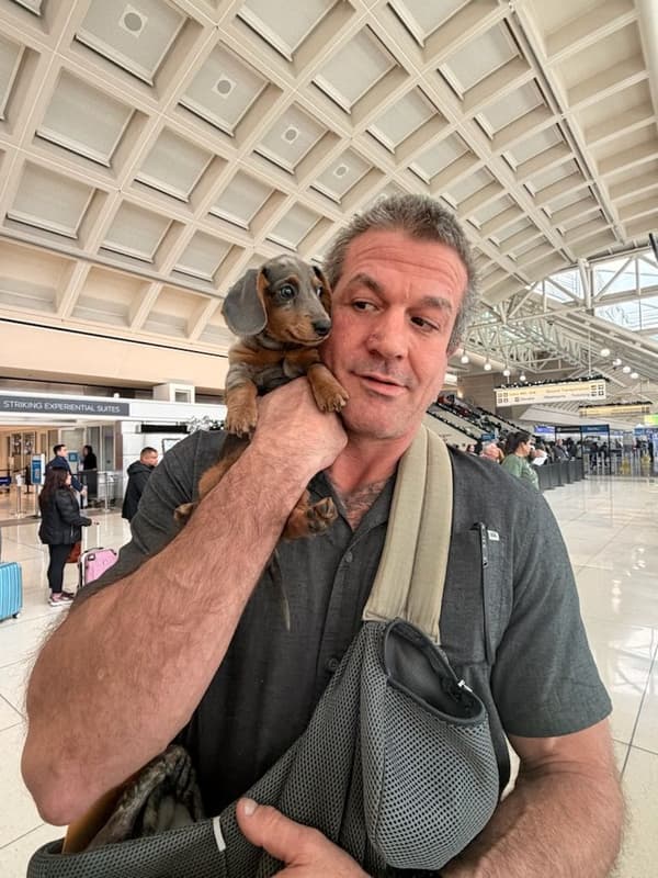 Customer photo of Dachshund, Mini puppy from Nate C.