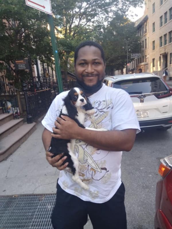 Customer photo of Cavalier King Charles Spaniel puppy from Derrick B.