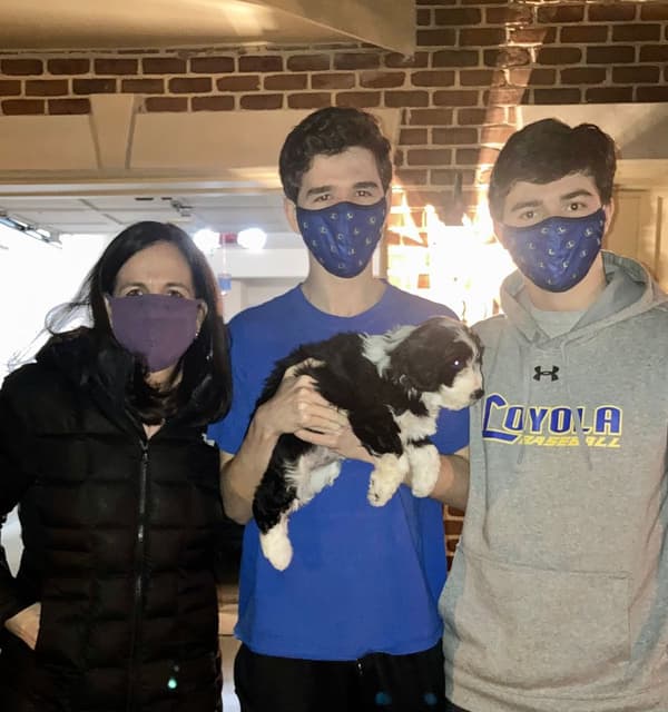 Customer photo of Aussiedoodle puppy from Megan B.