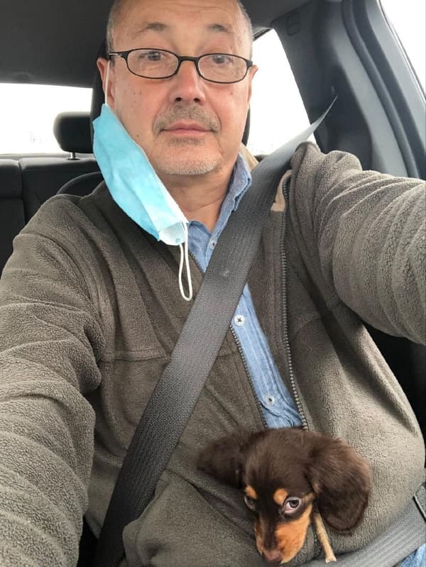 Customer photo of Dachshund, Mini puppy from José C.