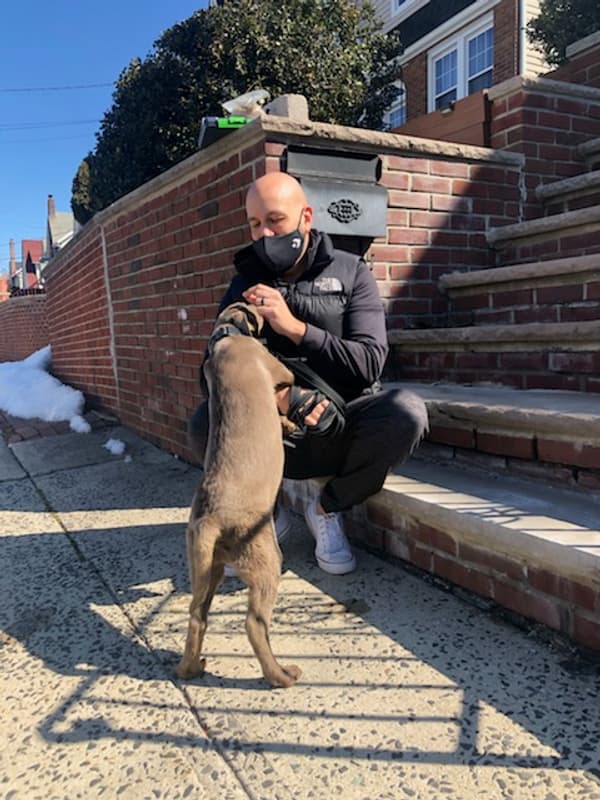 Customer photo of Labrador Retriever puppy from Paul G.