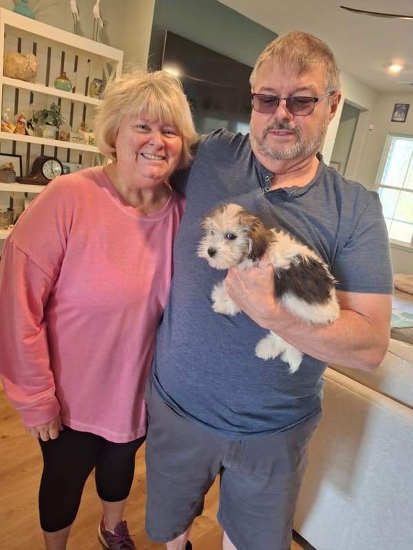 Customer photo of Coton De Tulear puppy from Robert H.