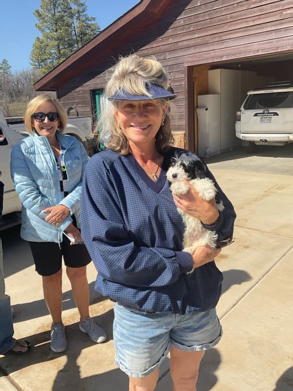Customer photo of Schnoodle puppy from Laurie T.