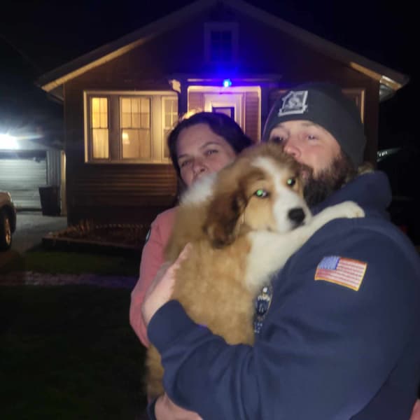 Customer photo of Great Bernese puppy from Kara H.