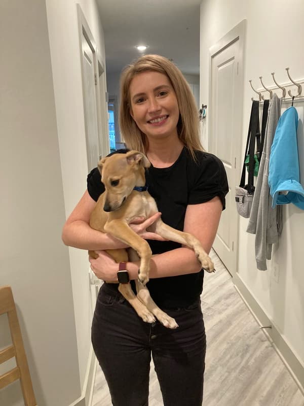 Customer photo of Whippet puppy from Madeleine C.