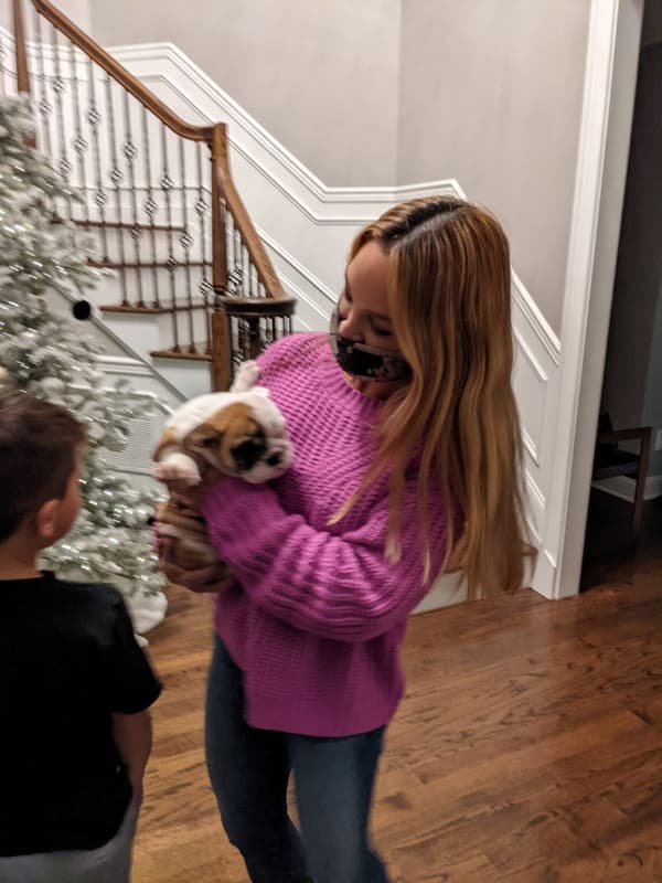 Customer photo of English Bulldog puppy from Ken C.