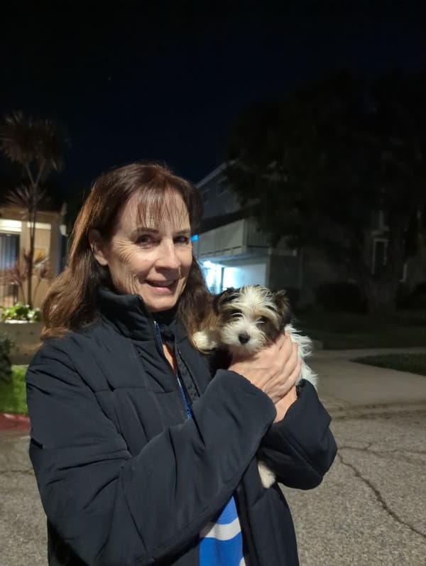 Customer photo of Morkie / Yorktese puppy from Lori N.