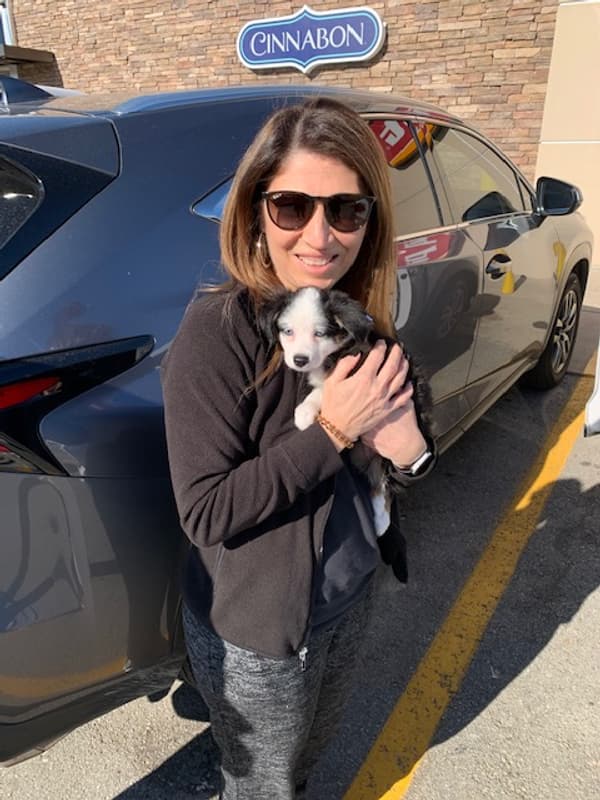 Customer photo of Miniature Australian Shepherd puppy from Caroline S.