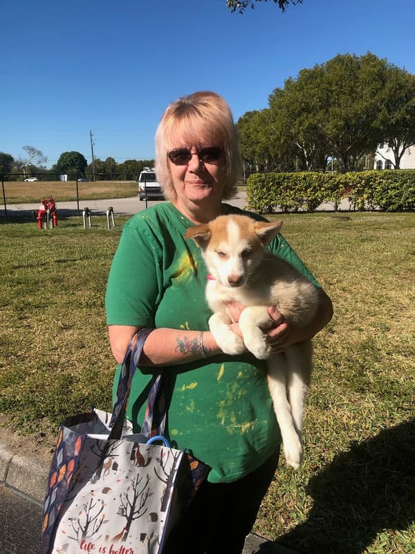 Customer photo of Pomsky puppy from Kim F.