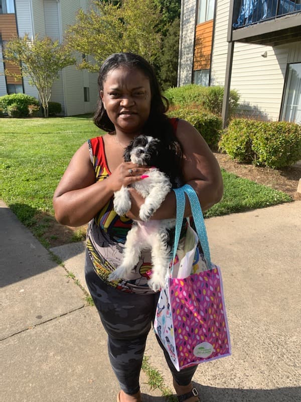 Customer photo of Cockachon puppy from Brittany N.