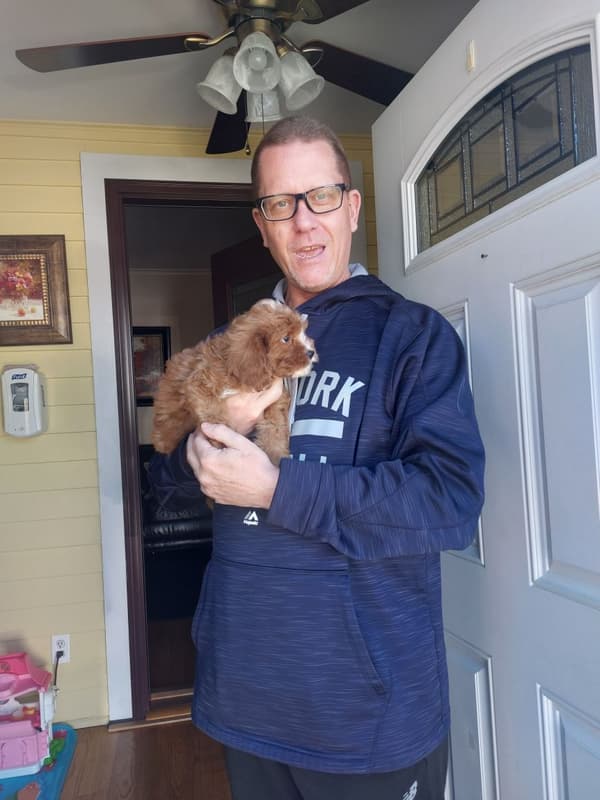 Customer photo of Cavapoo puppy from Edward F. 