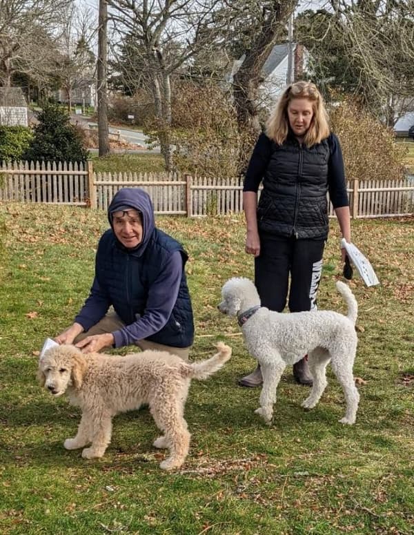 Customer photo of Poodle, Standard puppy from Jeff & Crystal Zinn