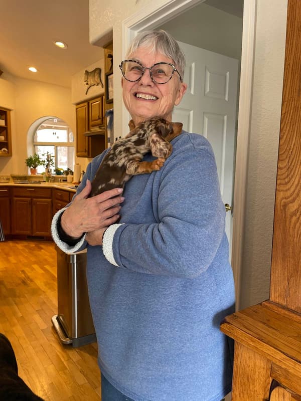 Customer photo of Dachshund, Tweenie puppy from Sheila M.