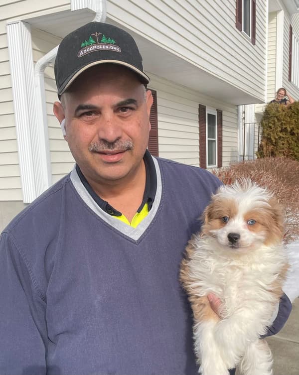 Customer photo of Aussiedoodle puppy from Samuel N.