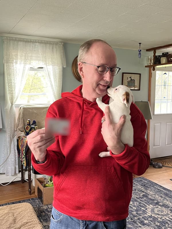 Customer photo of Jack Russell Terrier puppy from Matthew B.