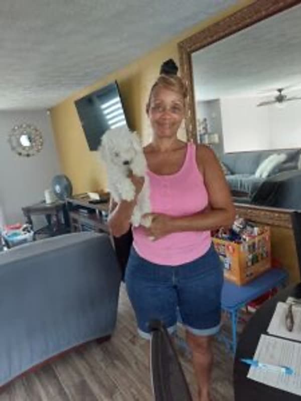 Customer photo of Bichon Frise puppy from Nina B.