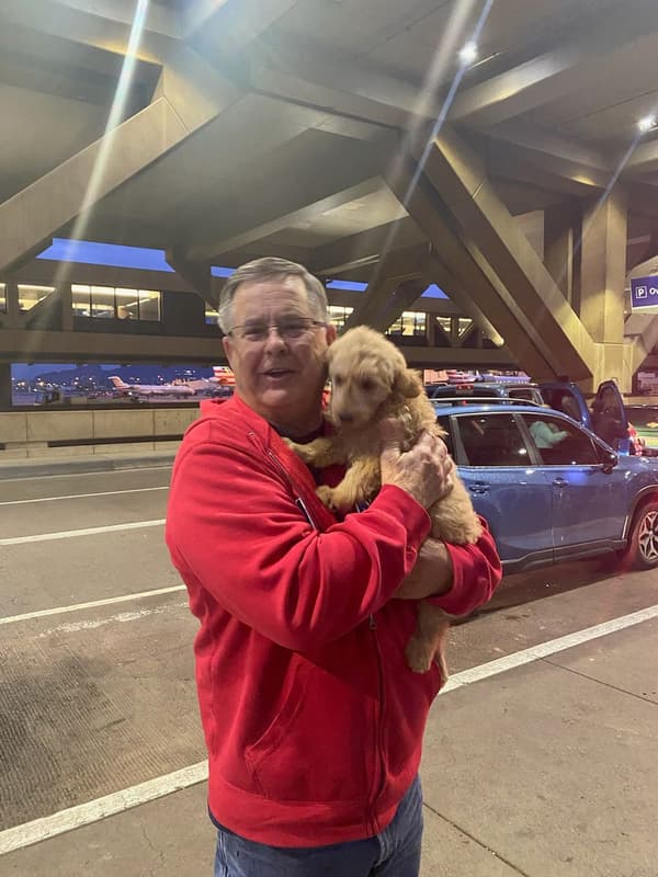 Customer photo of Goldendoodle puppy from Marjorie F. 