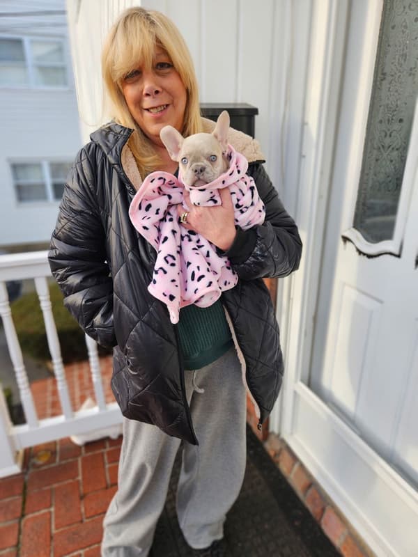 Customer photo of French Bulldog puppy from Helena S.