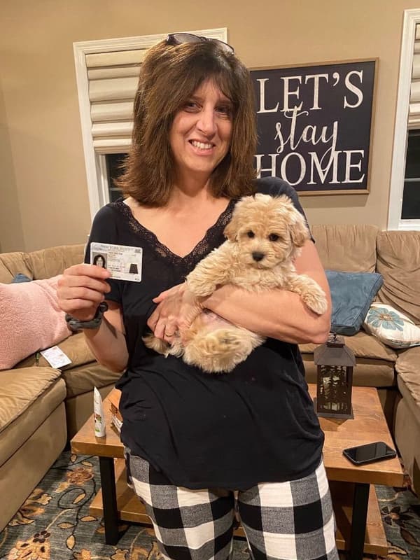 Customer photo of Malti Poo - Maltipoo puppy from Pam G.