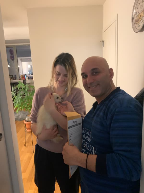 Customer photo of Pomeranian puppy from Andreas K.